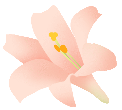 【动态】春日有约 遇见“莓”好—— 安徽多多28女神节采摘活动 【动态】春日有约 遇见“莓”好—— 安徽多多28女神节采摘活动